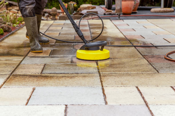 Best Gutter Cleaning and Brightening in Meadow Oaks, FL